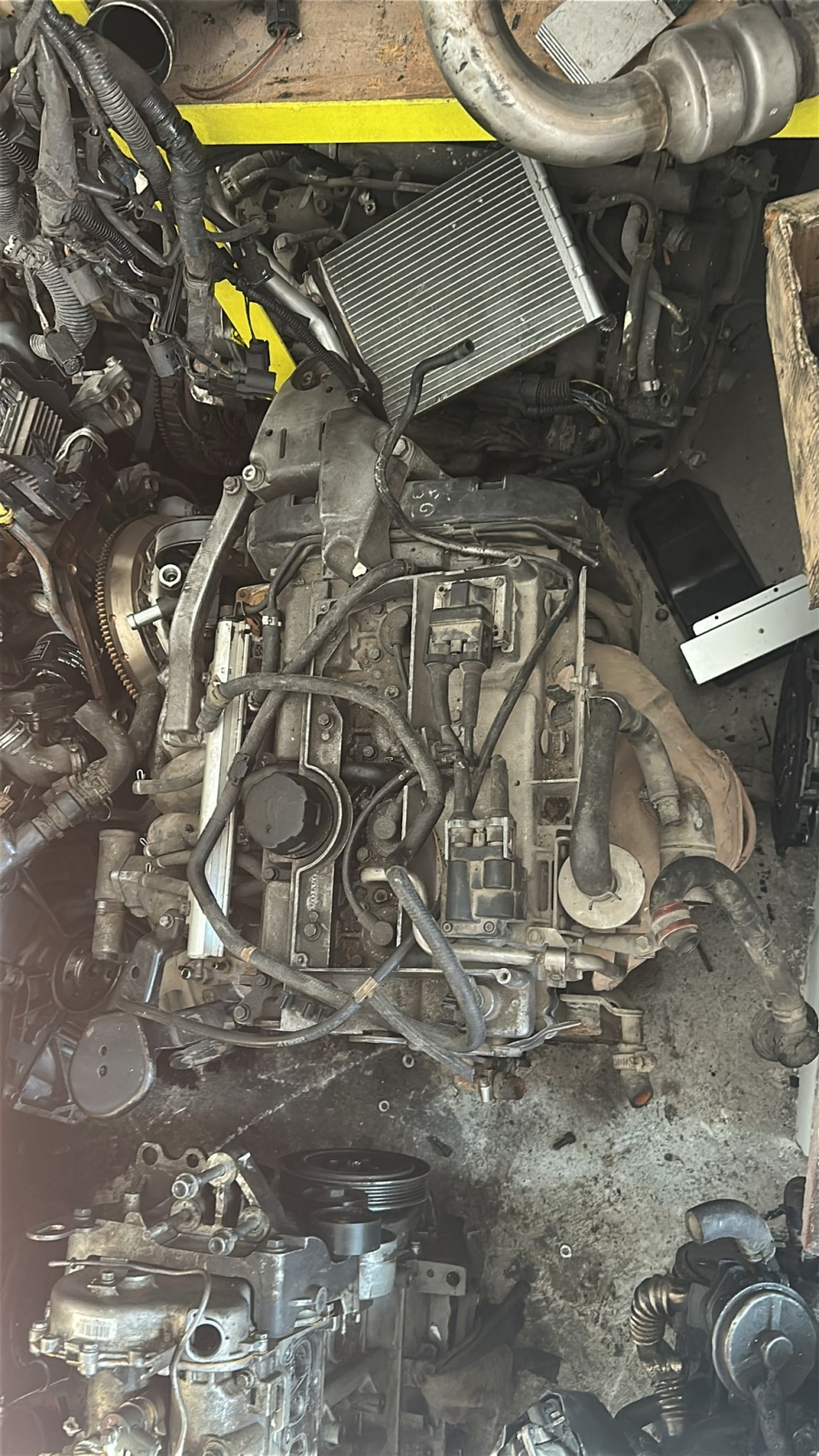 Laguna Volvo motor