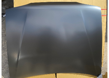 Renault 19 kaput